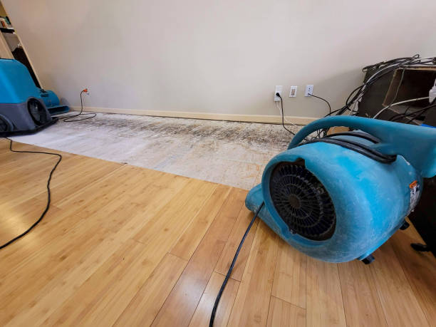 Professional Burst Pipe Water Damage technician working in Bristol, RI